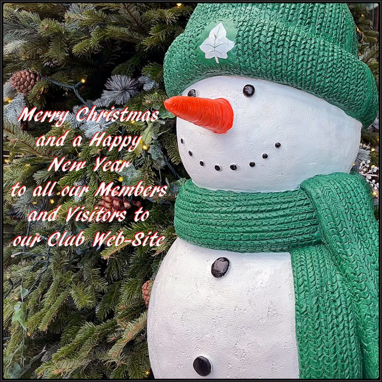 Merry Christmas & a Happy New Year