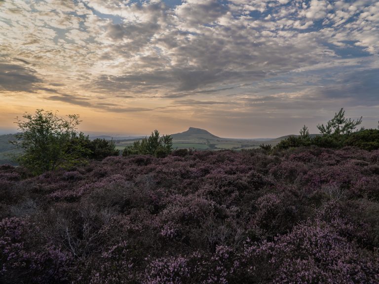 A North Yorkshire Evening