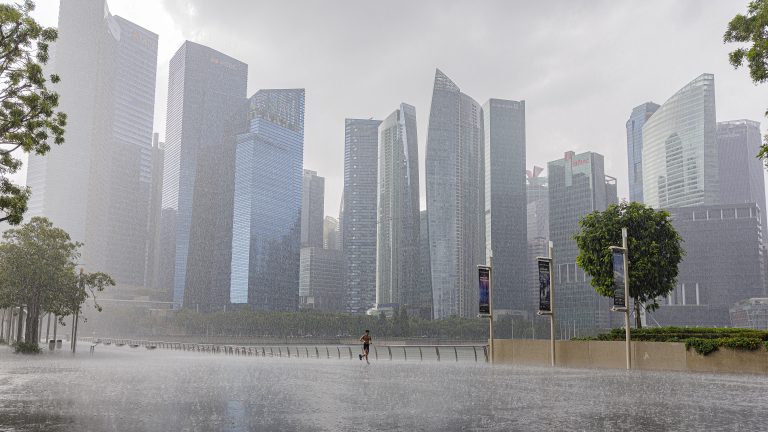 Born to Run (Bruce Springstein)