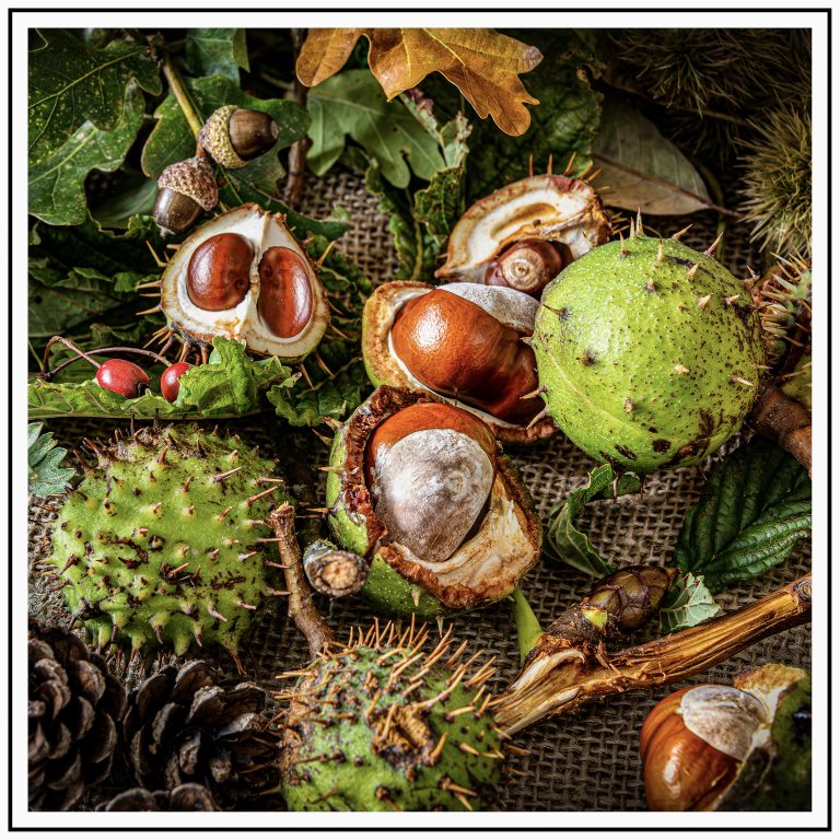 14 _AutumnFruits