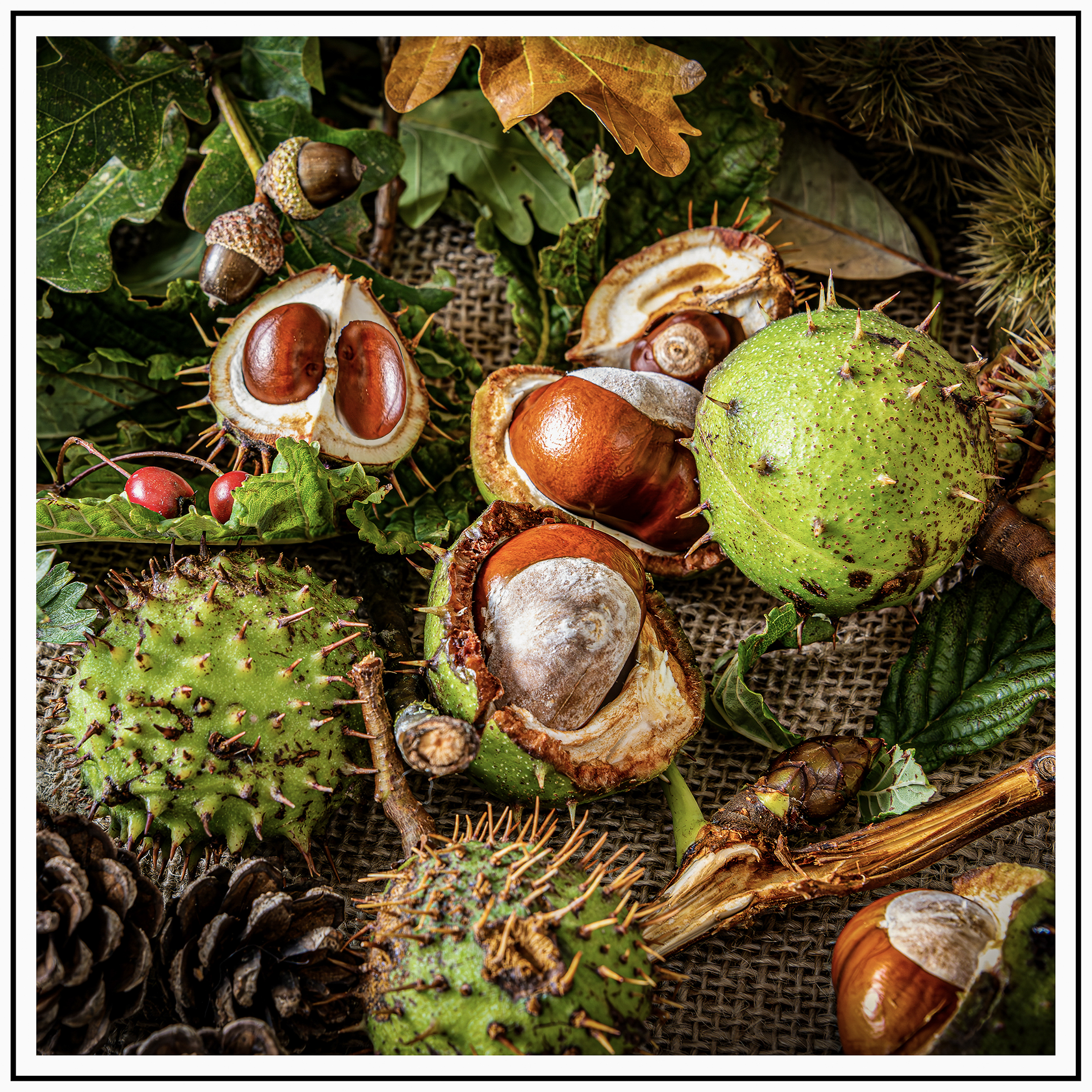 Autumn Fruits by Douglas Scarr