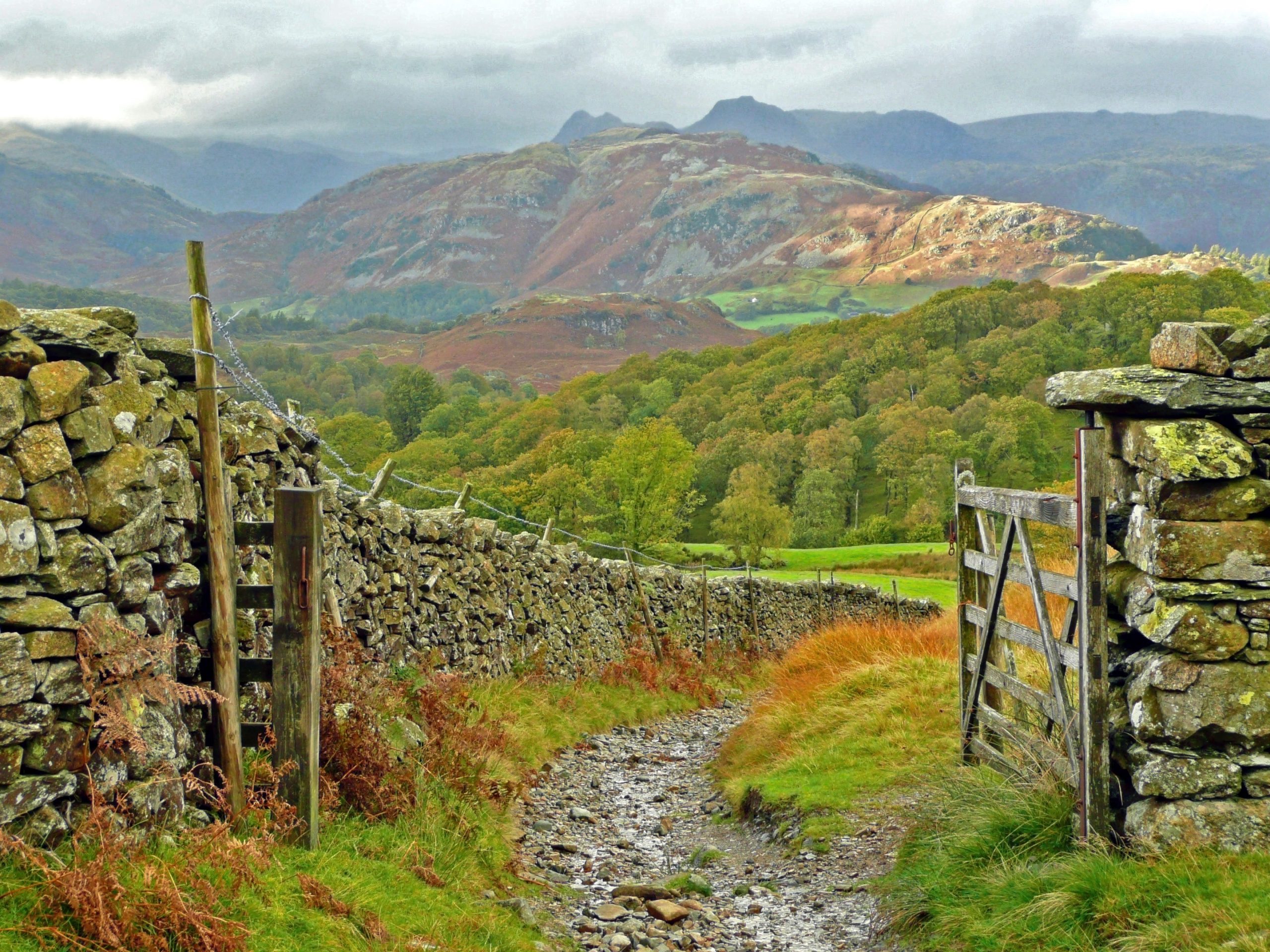 Gateway to Langdale by Martin Webb
