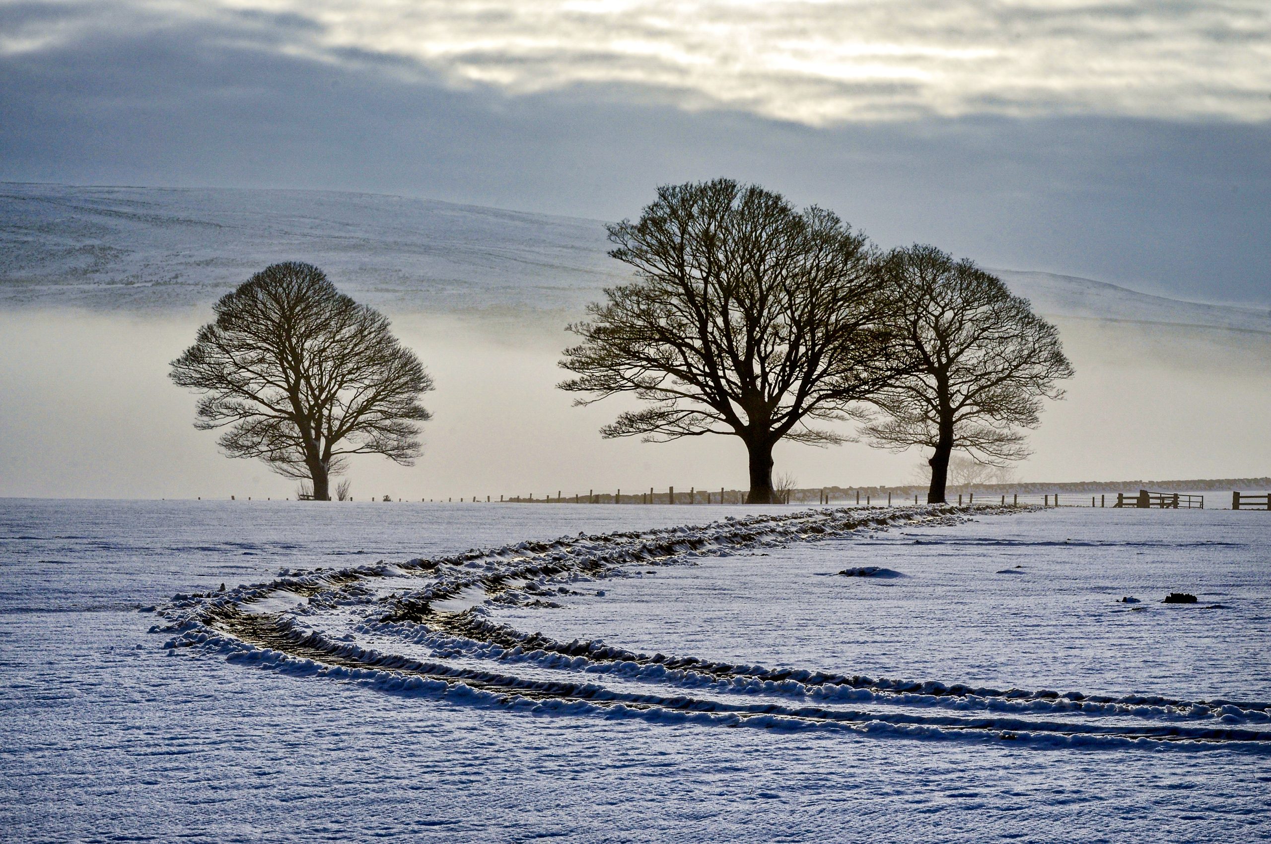 Winter by Douglas Scarr